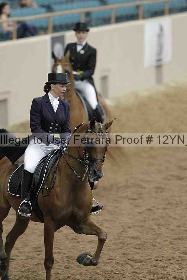 Proof Number 12yn_02012