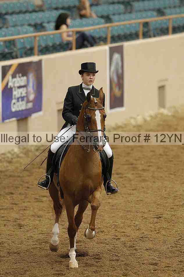 Proof Number 12yn_02013