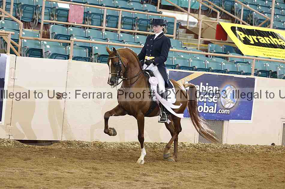 Proof Number 12yn_02053