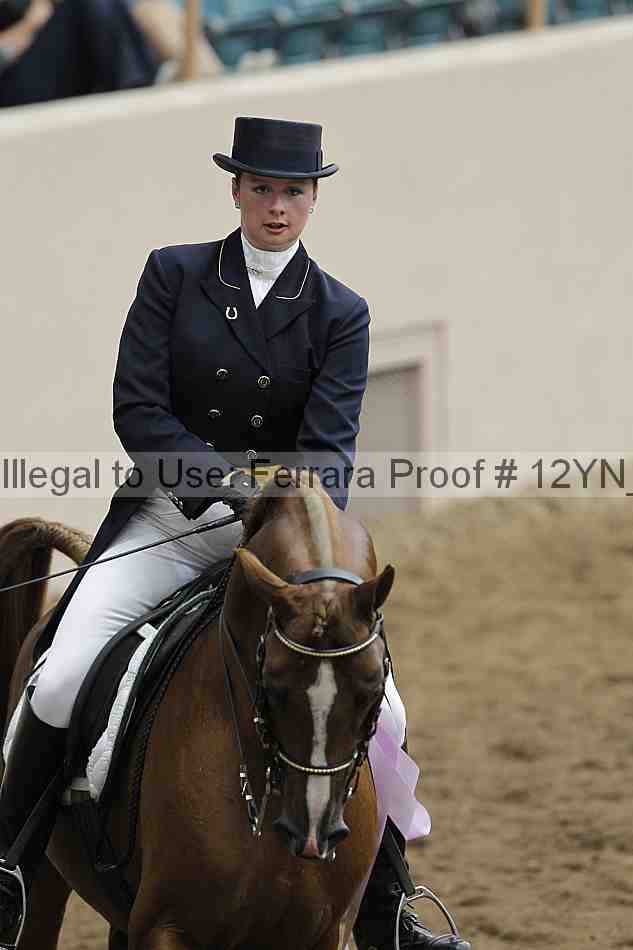 Proof Number 12yn_02065