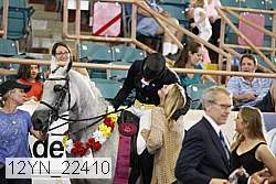 12yn_22410 thumbnail