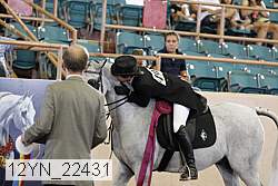 12yn_22431 thumbnail