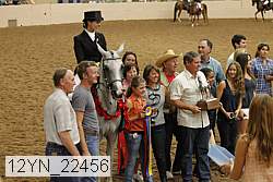 12yn_22456 thumbnail