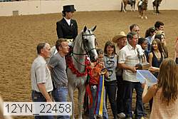 12yn_22458 thumbnail