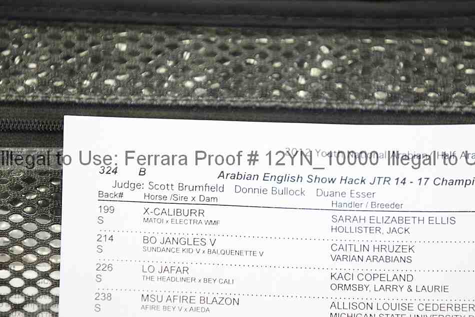 Proof Number 12yn_10000