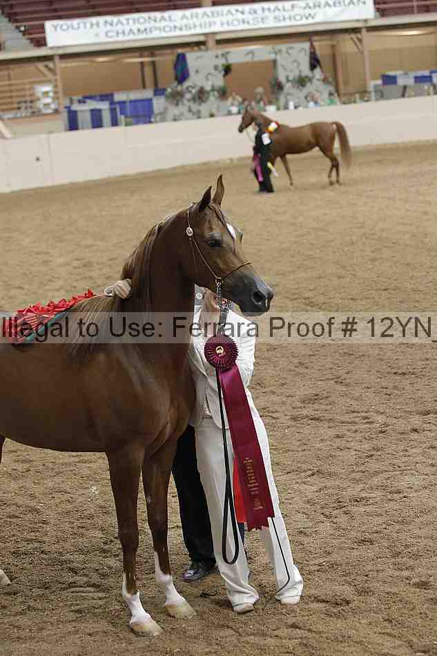 Proof Number 12yn_01763