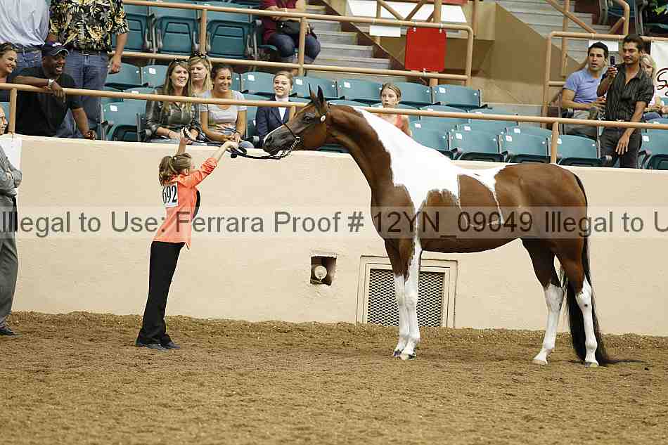 Proof Number 12yn_09049