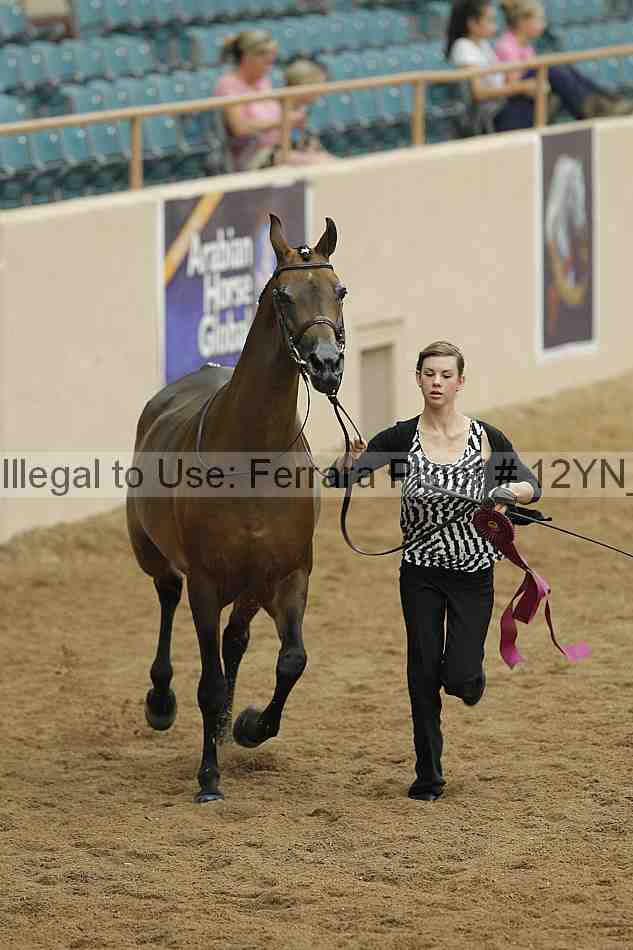 Proof Number 12yn_09094