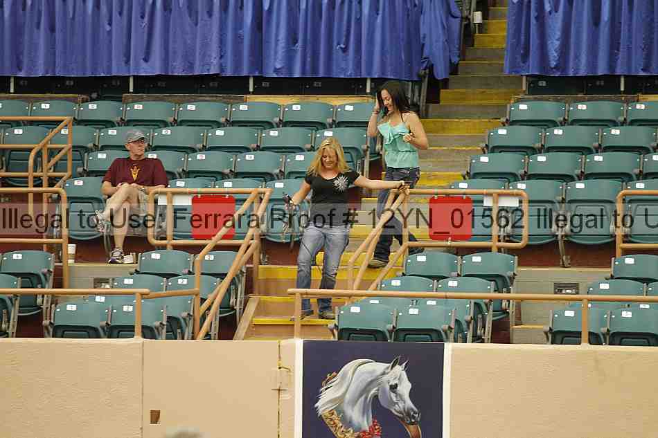 Proof Number 12yn_01562