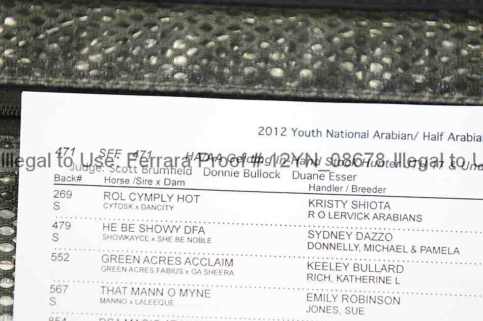 Proof Number 12yn_08678