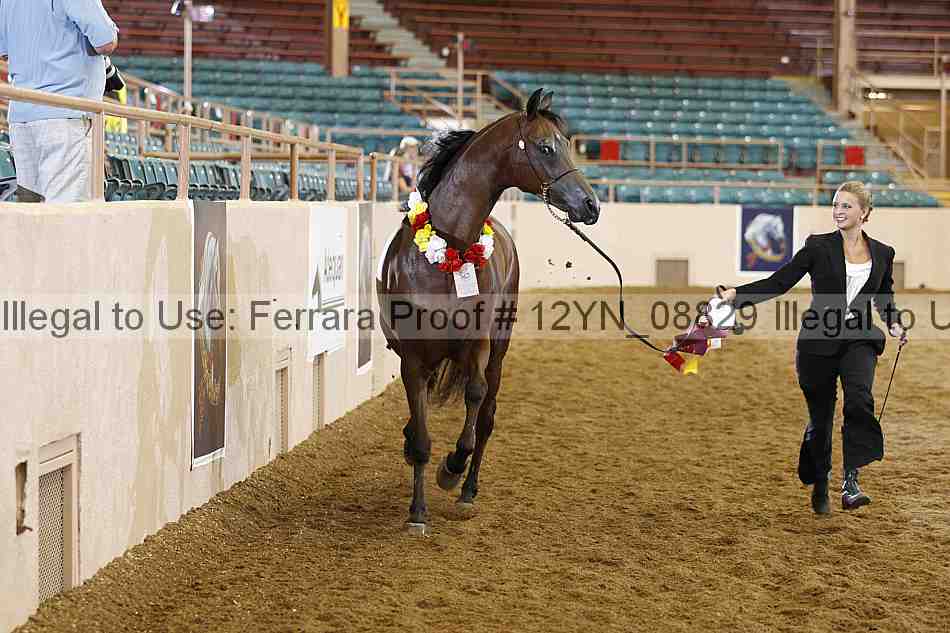 Proof Number 12yn_08829