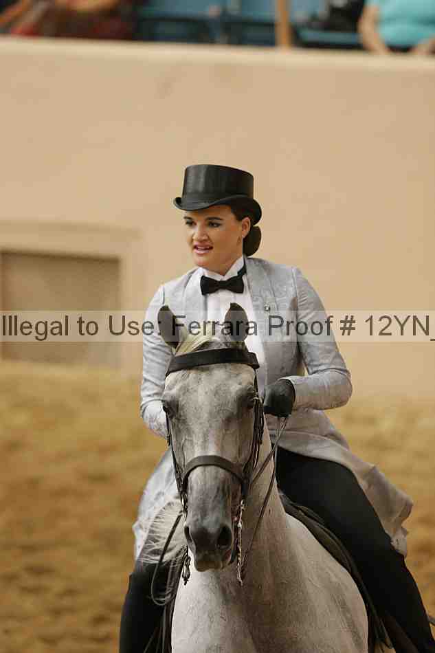 Proof Number 12yn_29166