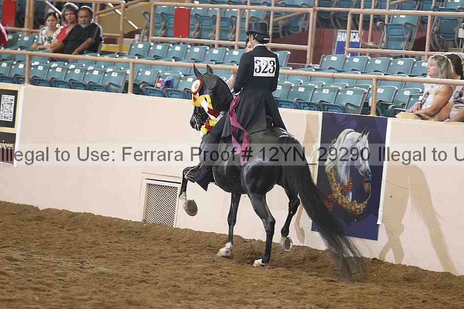 Proof Number 12yn_29290