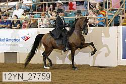 12yn_27759 thumbnail