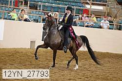 12yn_27793 thumbnail