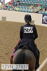 12yn_27837 thumbnail