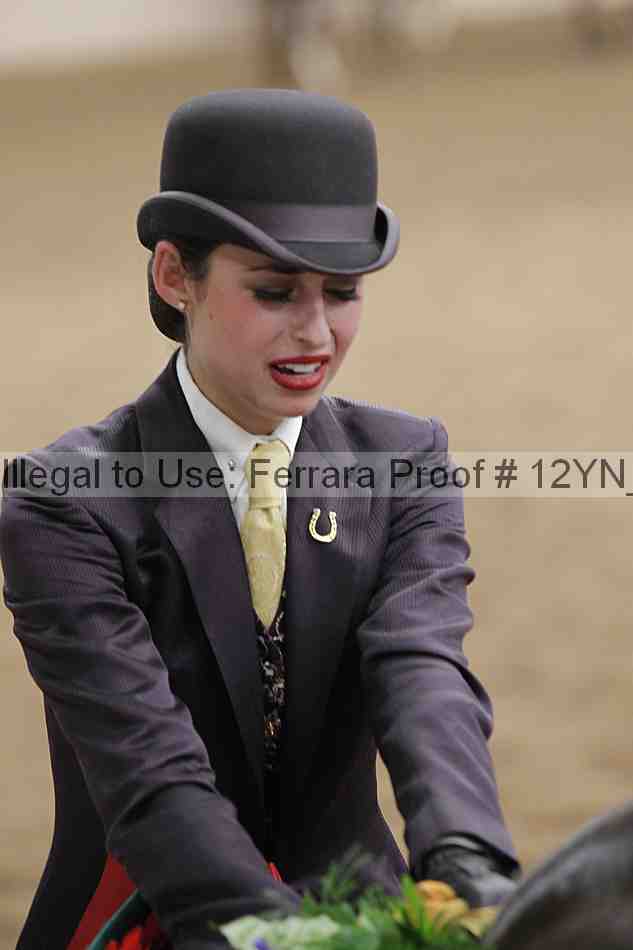 Proof Number 12yn_27850