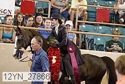 12yn_27866 thumbnail