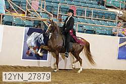 12yn_27879 thumbnail