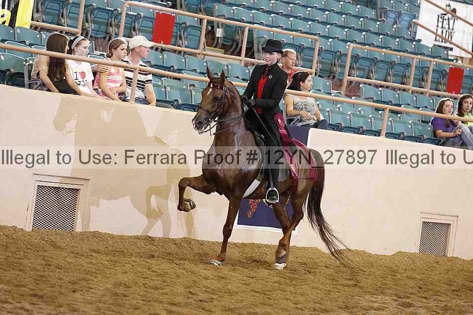 Proof Number 12yn_27897