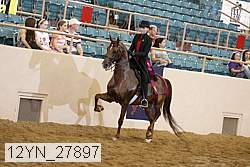 12yn_27897 thumbnail