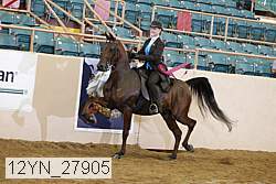 12yn_27905 thumbnail