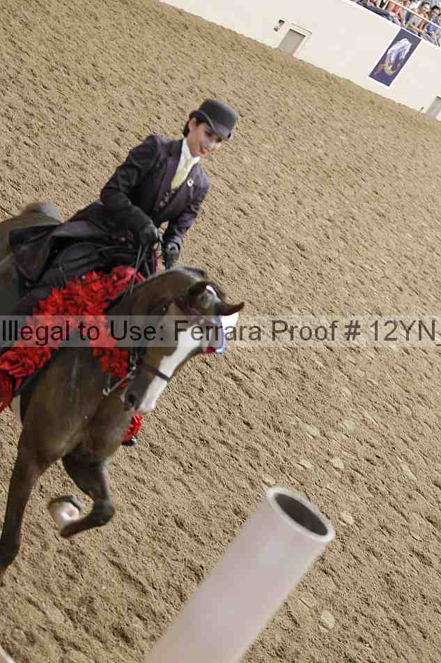 Proof Number 12yn_27936
