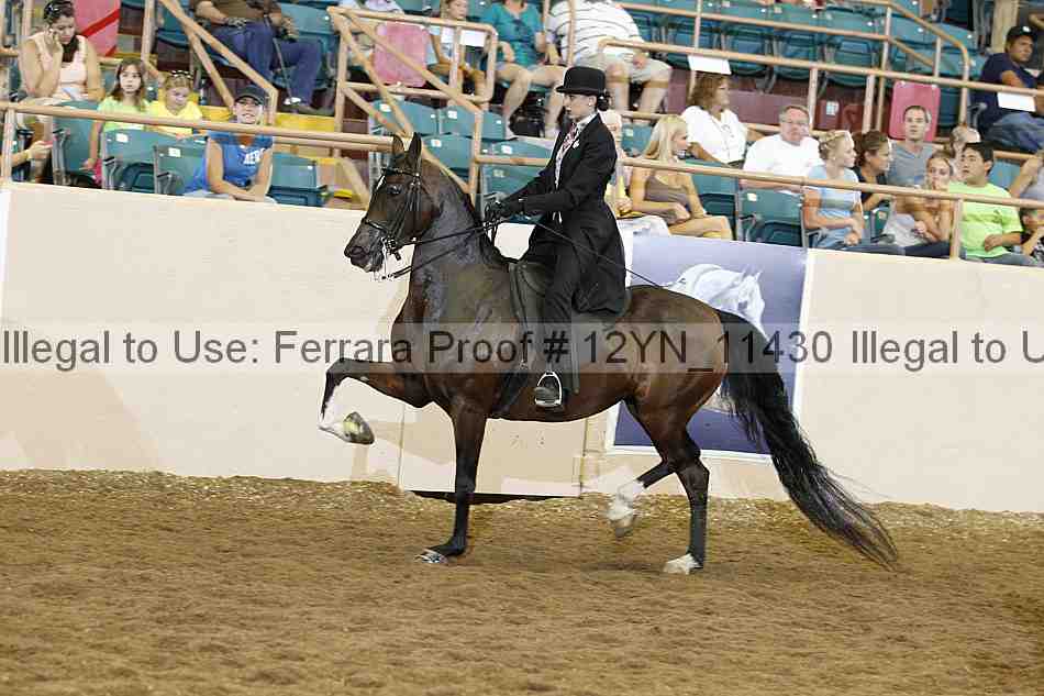 Proof Number 12yn_11430