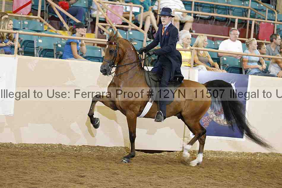 Proof Number 12yn_11507