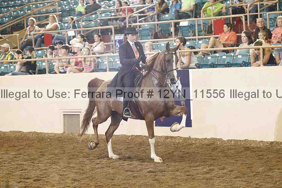 Proof Number 12yn_11556