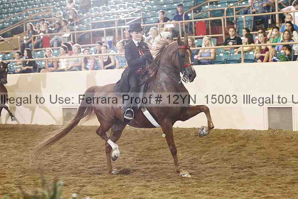 Proof Number 12yn_15003