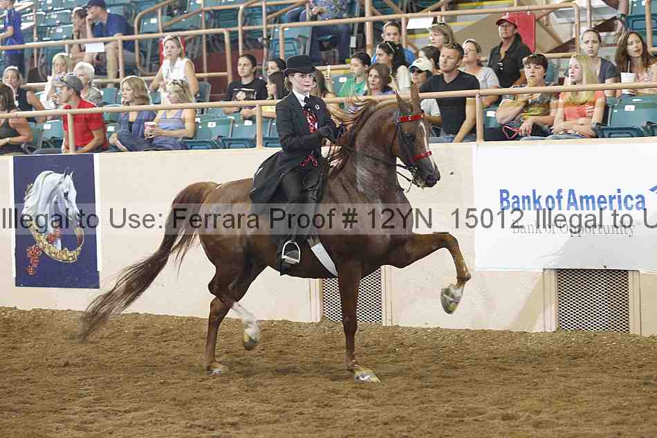 Proof Number 12yn_15012