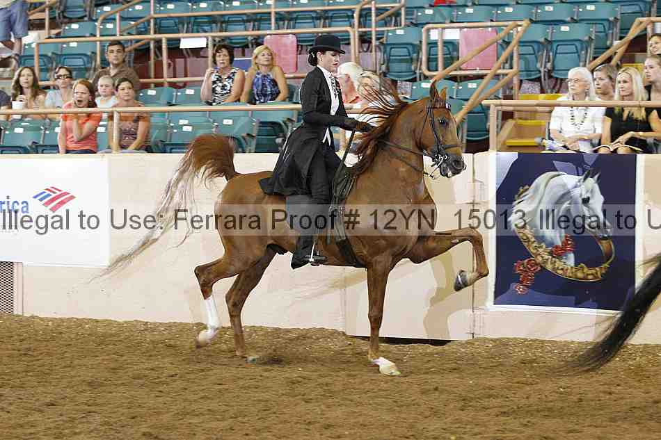 Proof Number 12yn_15013