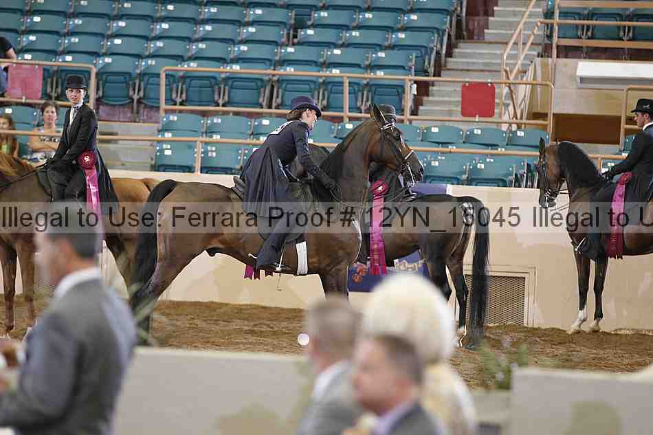 Proof Number 12yn_15045