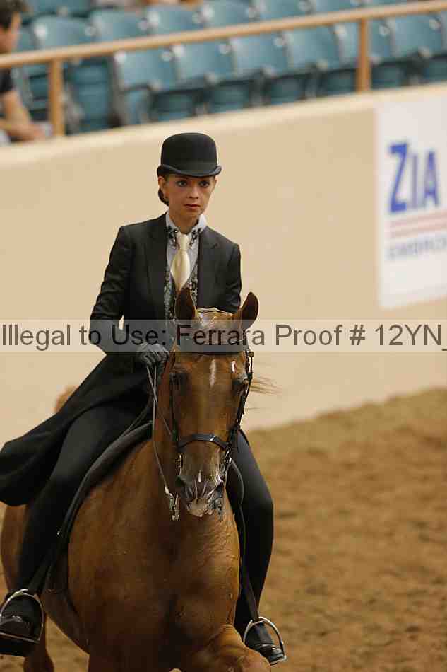 Proof Number 12yn_15082