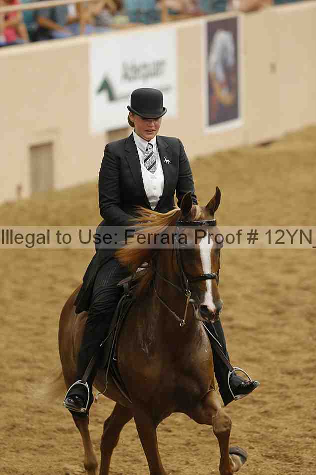 Proof Number 12yn_15091