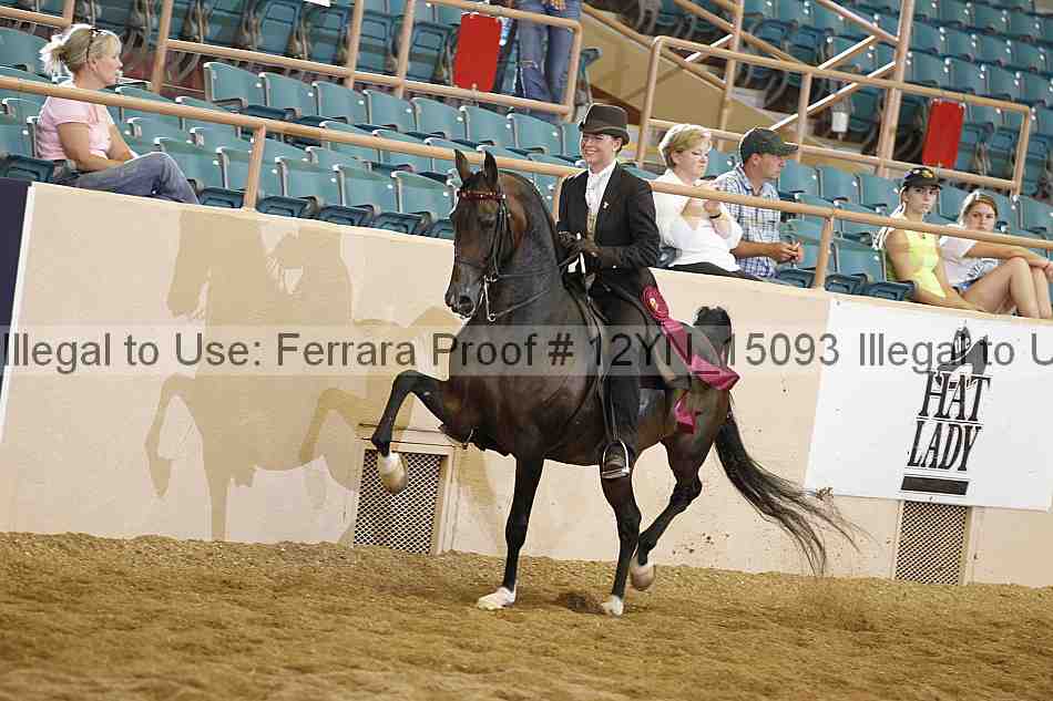 Proof Number 12yn_15093