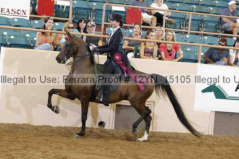 Proof Number 12yn_15105