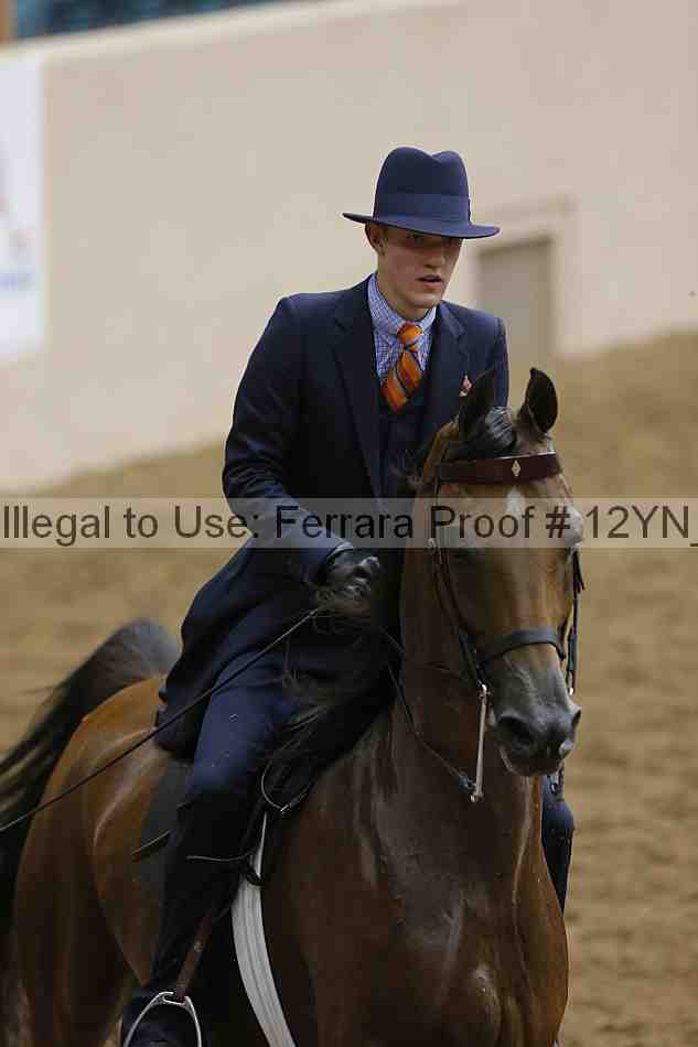 Proof Number 12yn_15107