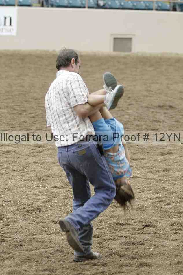 Proof Number 12yn_08255