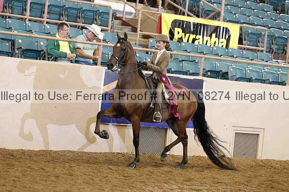 Proof Number 12yn_08274