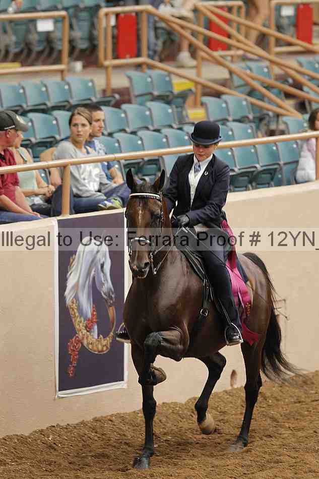 Proof Number 12yn_08290