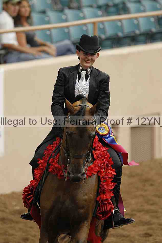 Proof Number 12yn_08310