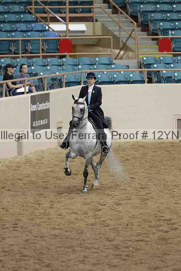 Proof Number 12yn_05568
