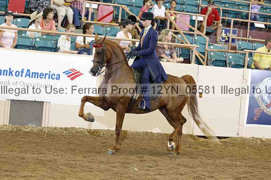Proof Number 12yn_05581