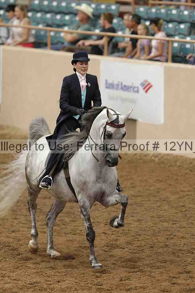 Proof Number 12yn_05611