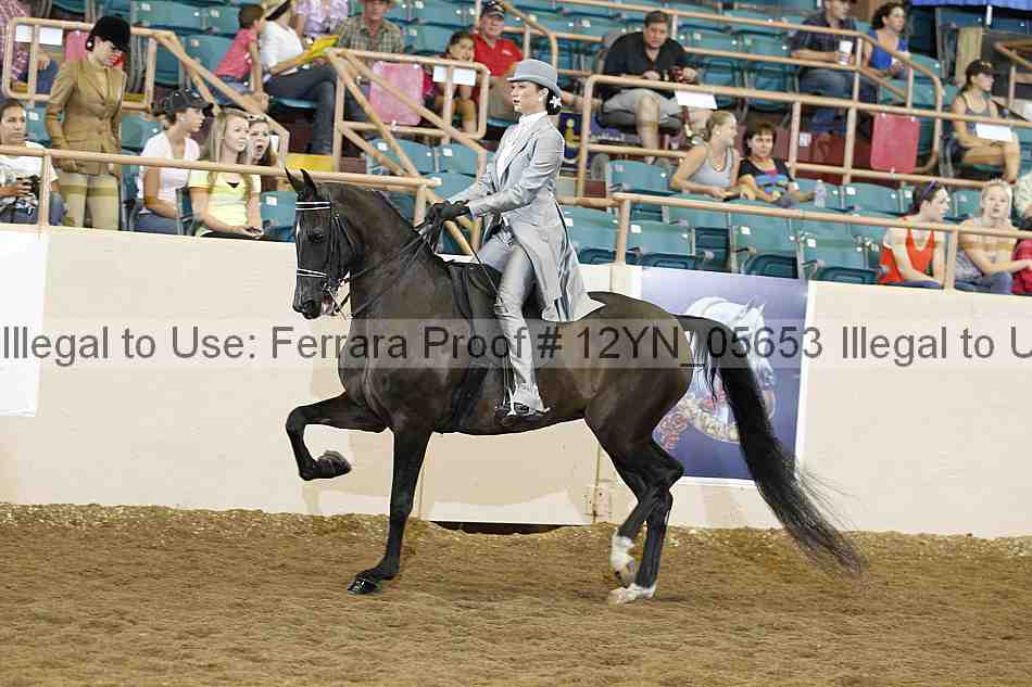 Proof Number 12yn_05653