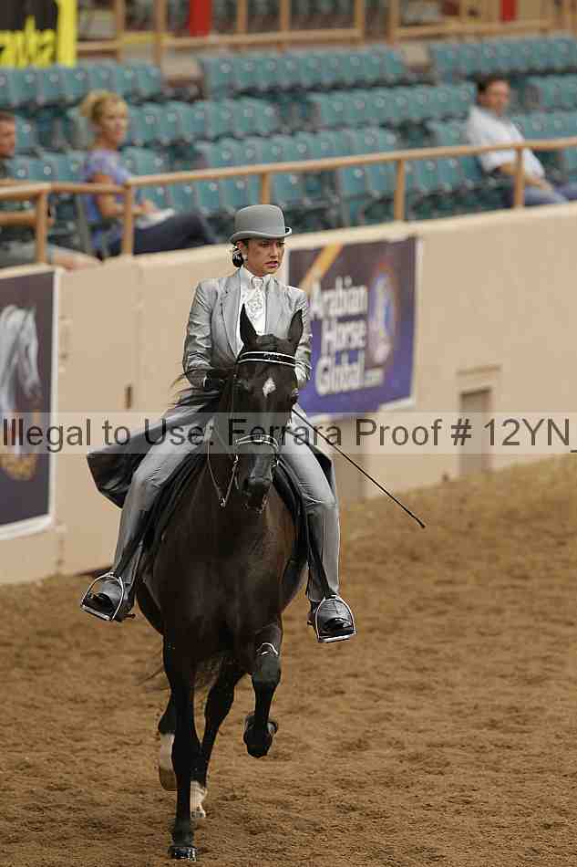 Proof Number 12yn_05668