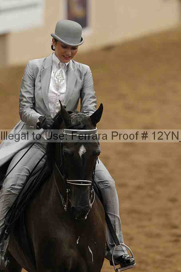 Proof Number 12yn_05740