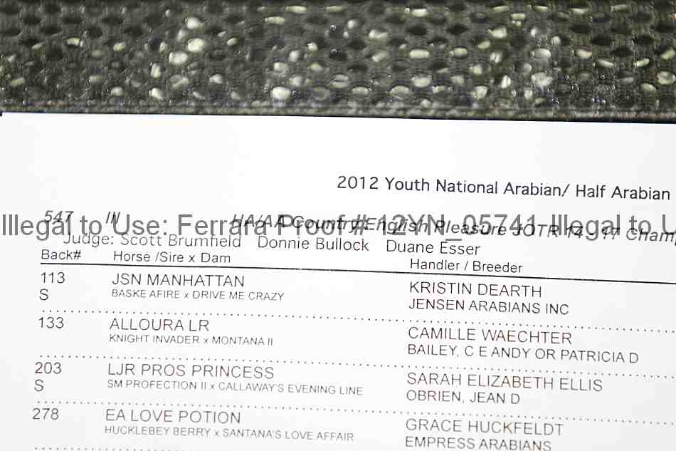 Proof Number 12yn_05741